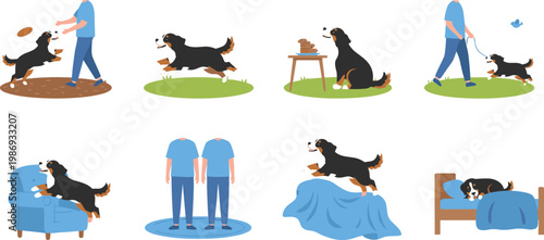Bernese Mountain Dog cartoon in daily activities with frisbee, walking, sleeping, and playful companionship illustration