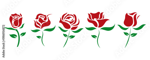 Set of Five Red Rose Vector Illustrations on White Background