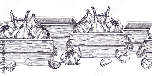 Garlic bulbs in wooden crate hand drawn illustration. Monochrome graphic ink drawing of harvest vegetables. Pattern for kitchen decor, cooking blog, organic shop menu seamless border
