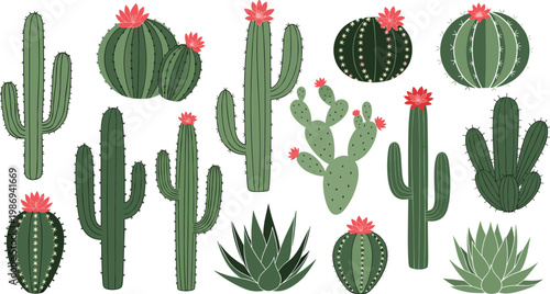 Collection of 14 Cactus Plants with Pink Flowers, Succulent, Desert, and Botanical Illustrations for Nature and Plant-Themed Designs