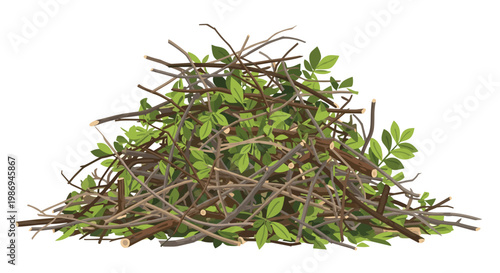 A massive and dense collection of thin brown wooden branches and small green leaves forms a large brush pile against a stark and clean white background.