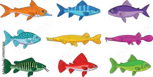 Colorful Freshwater Fish Collection with Various Tropical Species Isolated on White