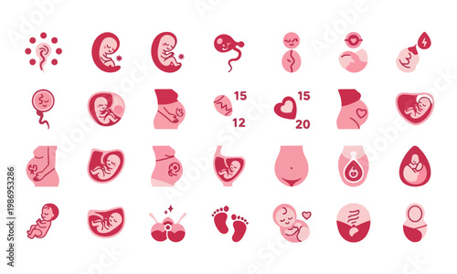 Pregnancy Stages Icons Set – Cute Colorful Flat Vector Illustrations