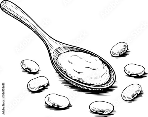 Hand-drawn of a wooden spoon filled with mashed beans and scattered beans food ingredient