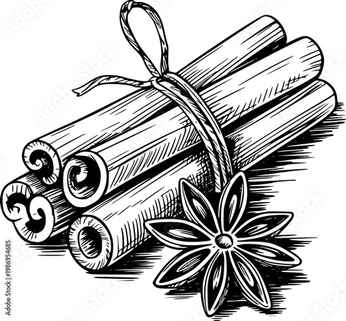 Hand-drawn of bundled cinnamon sticks and star anise, black and white spice ingredient