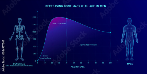 Decreasing bone mass with age in men. Scientific medical diagram shows information on bone health mass and loss. Joint pain at various ages. Vector.