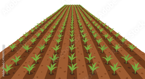 A meticulous perspective view showcases neat rows of young green sprouts emerging from rich dark brown tilled soil and receding toward a central vanishing point.