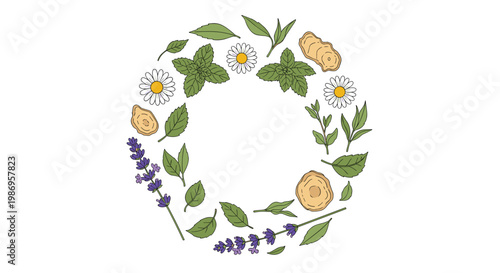 A beautiful circular wreath arrangement featuring various medicinal herbs such as chamomile flowers mint leaves lavender sprigs and sliced ginger roots.