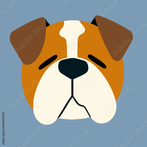 Cute English Bulldog Face Portrait