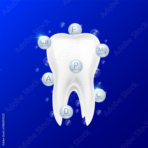 Strong healthy tooth root. Teeth with Minerals Calcium Phosphorus Fluoride Magnesium and Vitamin A. For design dentist or dentistry treatments. Vector EPS10.