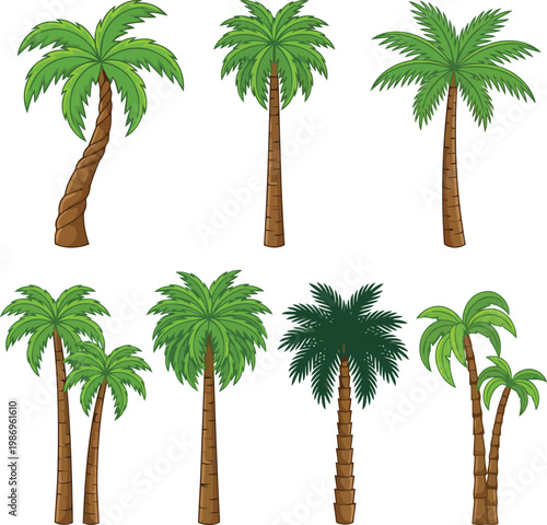 Various palm trees tropical plants collection tropical vector illustration.