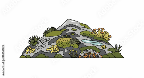 Rocky outcrop covered in diverse mosses, lichens and small plants