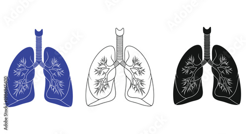 Lung human organ illustration set in blue, black and white colors