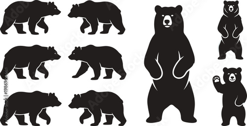 Bear silhouettes walking, standing, roaring, upright, waving, wildlife vector, animal poses, forest mammal, predator outline, black shape, flat vector illustration