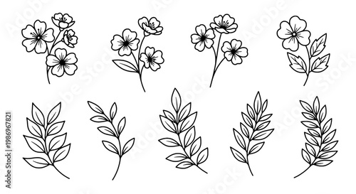 Botanical sprig line icons with daisy flowers and leafy branches in a clean minimal vector style featuring outline, wildflower, floral branch with