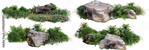 A small garden decorated with stones and various plants on a transparent background.
