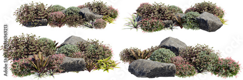 A small garden decorated with stones and various plants on a transparent background.