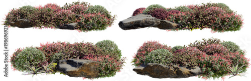 A small garden decorated with stones and various plants on a transparent background.