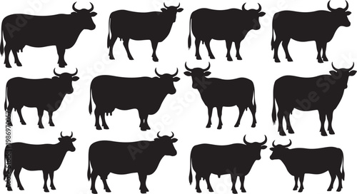 Black silhouettes of cows on white background standing