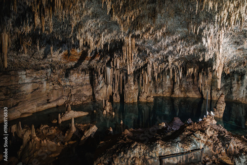 Cenotes of yucatan riviera maya exploring ancient caves