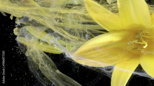 Yellow lily battered by ink surge, intense closeup of swirling currents and ripping pigment ribbons, edgy editorial energy and highcontrast drama
