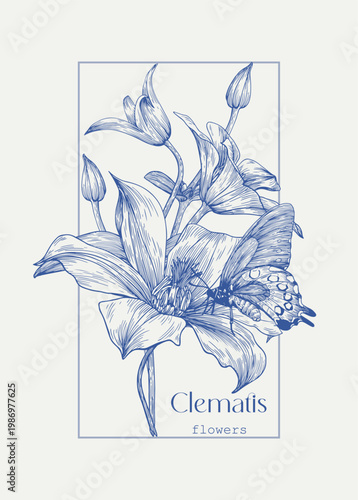 Vintage Illustration for design greeting card, wedding decor, invitation, gift, birthday Bouquet Clematis flowers buds with butterfly in frame blue beige Vector Hand drawn engraved elements Minimalism