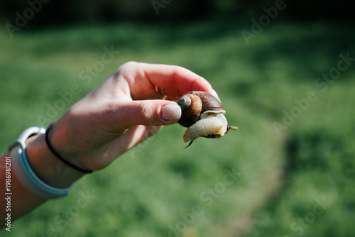 A person holds a snail in their hand while standing in a green outdoor area. The setting suggests a connection to nature and an interest in small creatures