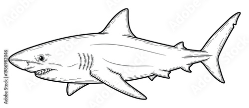 Great white shark outline drawing for ocean conservation awareness and marine life educational materials