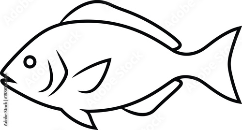 Stylized line art fish silhouette representing aquatic life vector illustration