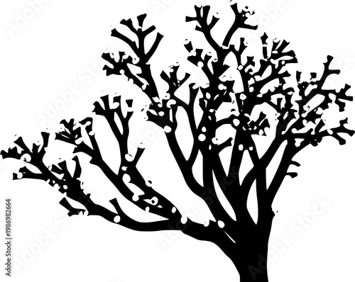 A stunning macro of a Sea Anemones tentacles reveals intricate details of its soft, stinging cells against a pure white background