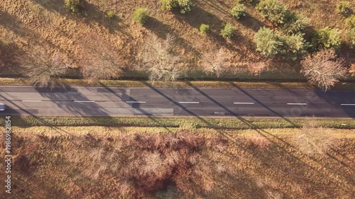 Quiet rural street cutting through autumn woodland scene