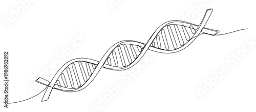 Monoline drawing of a DNA double helix showcasing genetic structure for science and medical education