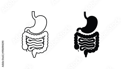 Digestive System Stomach Intestines Anatomy Icon Medical Health Commercial