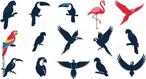 Tropical Birds Vector Set Parrot Toucan Flamingo Flying Silhouette Icons