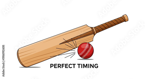 Perfect Cricket Timing Illustrated Sports Concept Minimalist Design