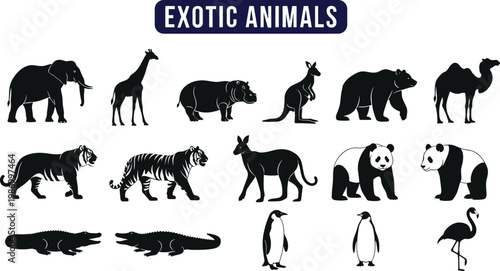 Exotic animals silhouettes collection featuring elephant giraffe tiger kangaroo bear panda crocodile penguin flamingo wildlife vector illustration set
