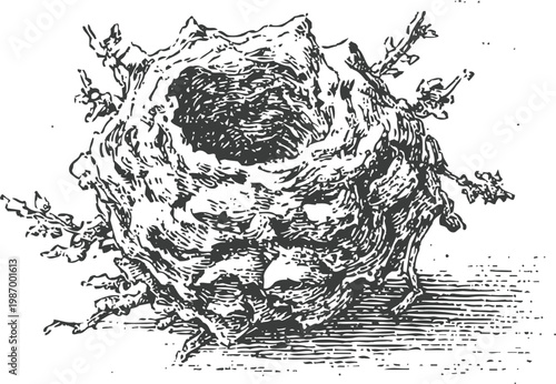 Intricate vintage illustration of a wasp nest, detailed natural insect habitat in black and white