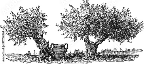 Ancient olive trees with a traditional ceramic jar, mediterranean landscape sketch in black ink drawing
