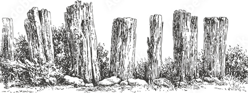 Old wooden fence posts in a rural landscape with grass and shrubbery vintage nature illustration in black and white