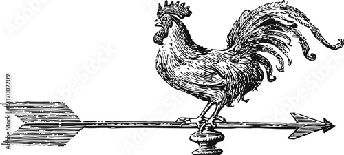 rooster weather vane illustration vintage hand drawing of rooster on directional arrow for outdoor weather indicator