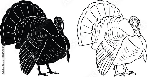 Turkey bird silhouette and outline collection featuring farm poultry animal standing pose thanksgiving vector illustration clipart set