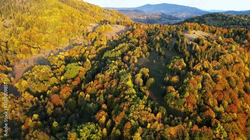 Beautiful autumn landscape with golden trees and meadows