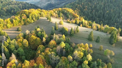 Beautiful autumn landscape with golden trees and meadows