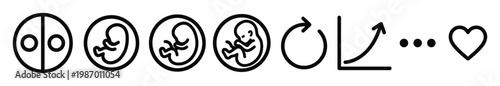 Conceptual black vector icons illustrating human life cycle: fertilization, embryo stages, growth, and love. Ideal for biology, healthcare, fertility, or parenting designs.