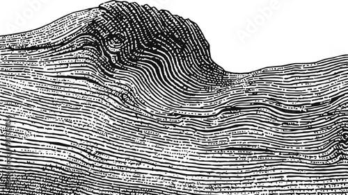 Close up black and white wood texture natural wooden plank pattern with grain and knot details