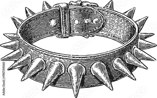 Spiked leather collar with metal studs and buckle, vintage illustration