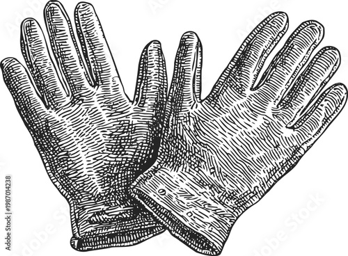 vintage leather gloves illustration detailed hand protection accessory, classic
