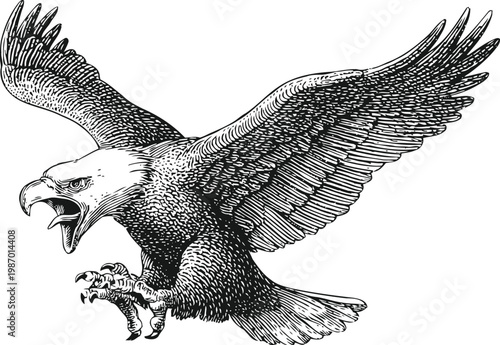 Detailed black and white illustration of a bald eagle with outstretched wings and open beak attacking or landing