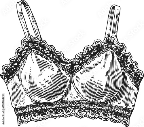 Lace bra lingerie illustration vintage detailed black and white drawing of women's underwear