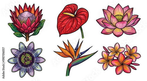 Collection of Hand-Drawn Tropical Flowers with Vibrant Colors